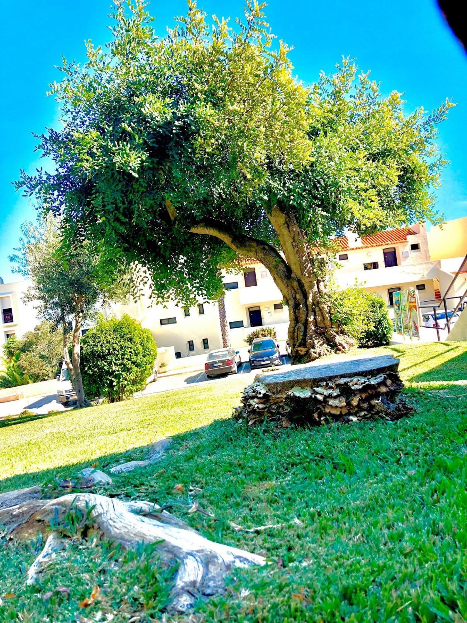 Albufeira Jardim - Apartamentos Turisticos Экстерьер фото