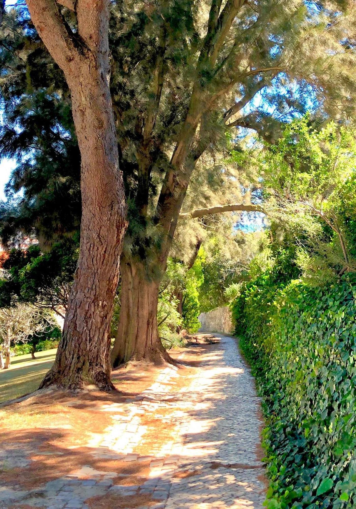 Albufeira Jardim - Apartamentos Turisticos Экстерьер фото